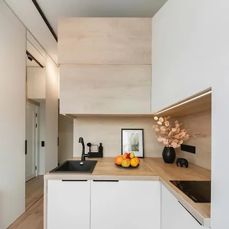 Apartment Brand New Light Vilnius